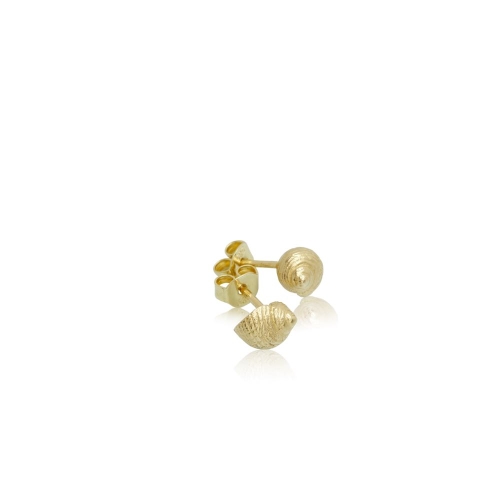 Coast Snail Medium Coast Snail Medium