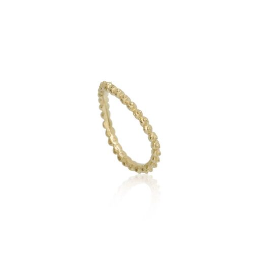 Coast Snail Coast Snail