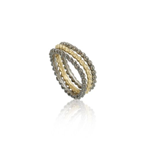 Coast Snail Coast Snail