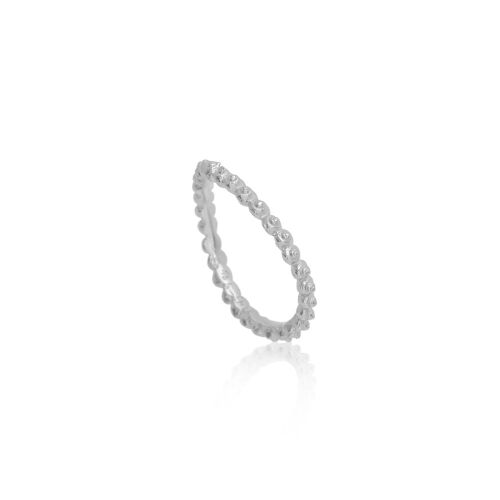 Coast Snail Coast Snail