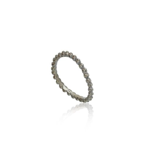 Coast Snail Coast Snail