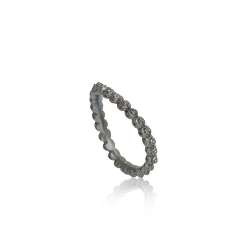 Coast Snail Coast Snail