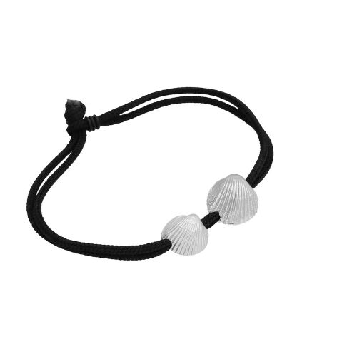 Coast Seashell-mix Coast Seashell-mix