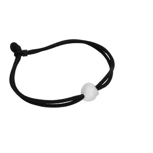 Coast Seashell Medium Coast Seashell Medium