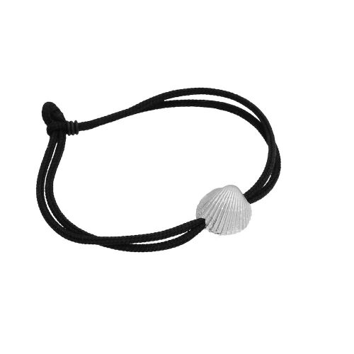 Coast Seashell Large Coast Seashell Large