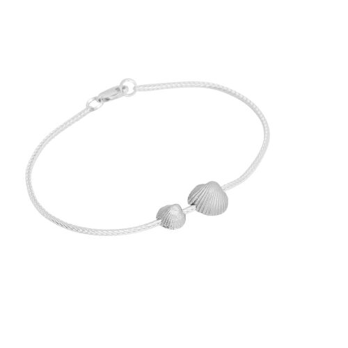 Coast Seashell-mix Coast Seashell-mix