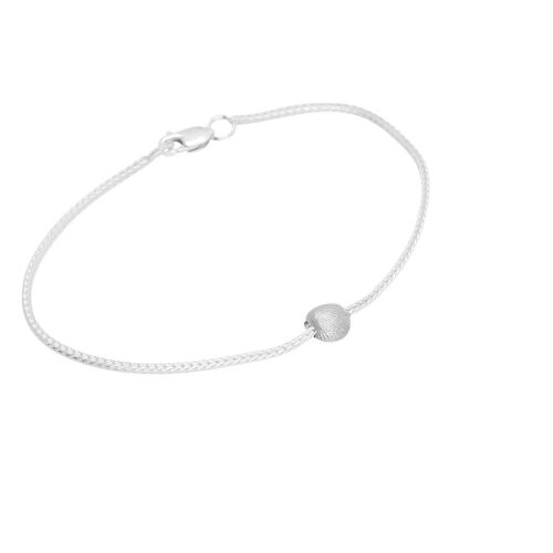 Coast Seashell Small Coast Seashell Small