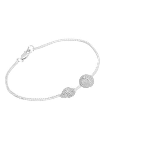 Coast Conch-mix Coast Conch-mix