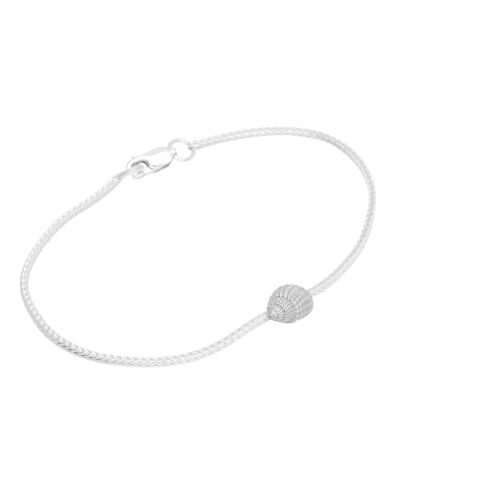 Coast Conch Small Coast Conch Small