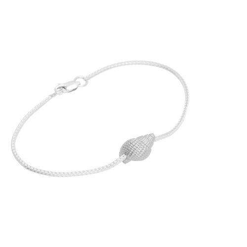 Coast Conch-medium Coast Conch-medium