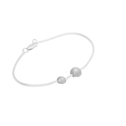 Coast Snail-mix Coast Snail-mix