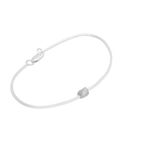 Coast Snail Small Coast Snail Small