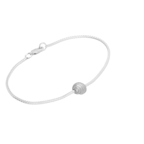 Coast Snail-medium Coast Snail-medium