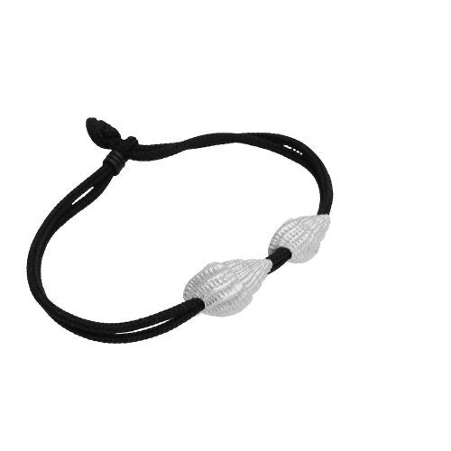 Coast Conch-mix Coast Conch-mix