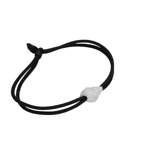 Coast Conch Medium Coast Conch Medium