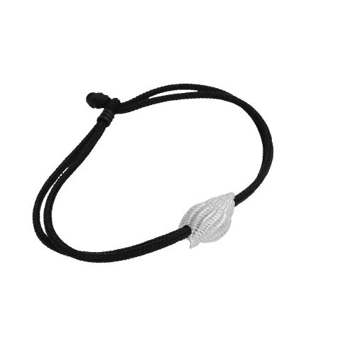 Coast Conch Large Coast Conch Large