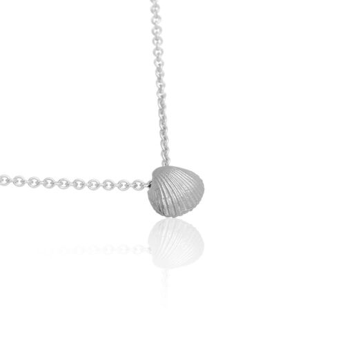 Coast Seashell-small Coast Seashell-small