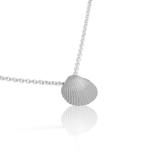 Coast Seashell-large Coast Seashell-large