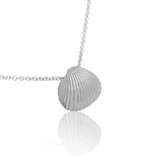 Coast Seashell-XXL Coast Seashell-XXL