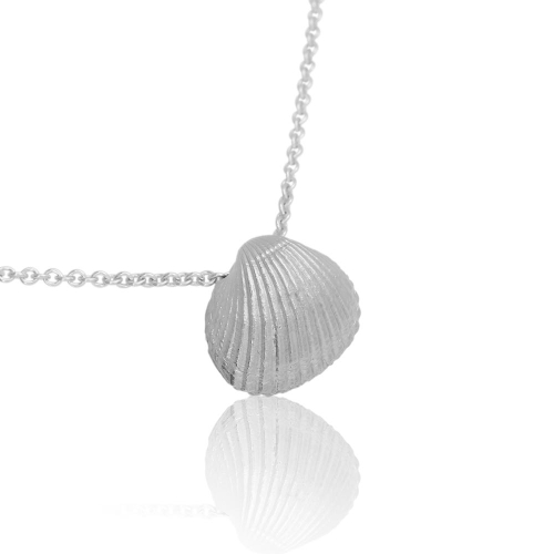 Coast Seashell-XXL Coast Seashell-XXL