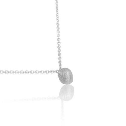 Coast Snail Medium Coast Snail Medium