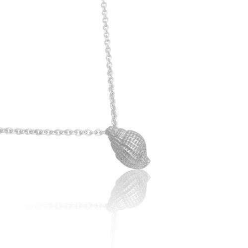 Coast Conch Medium Coast Conch Medium