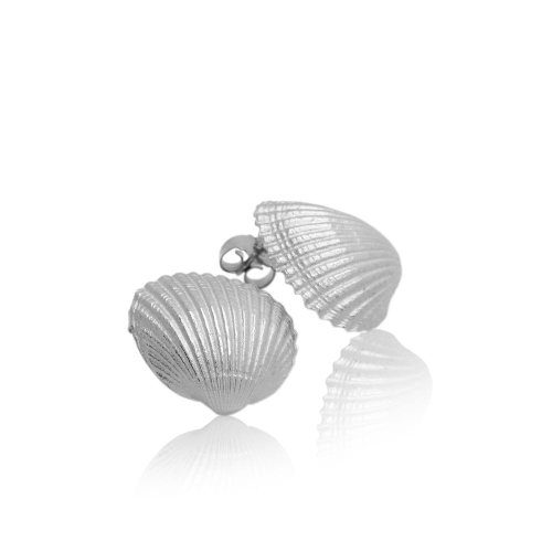 Coast Seashell Large Coast Seashell Large