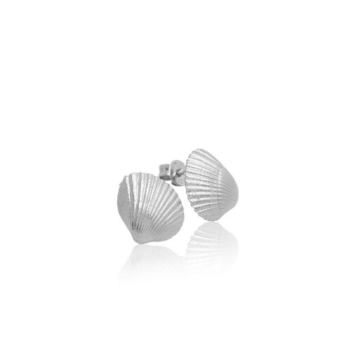 Coast Seashell Medium Coast Seashell Medium