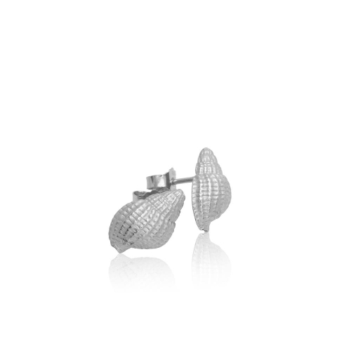Coast Conch Medium Coast Conch Medium