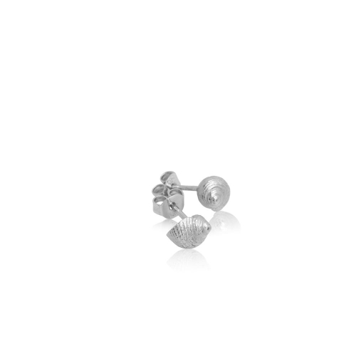 Coast Snail Medium Coast Snail Medium