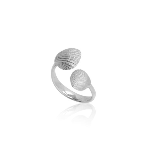 Coast Seashell Coast Seashell