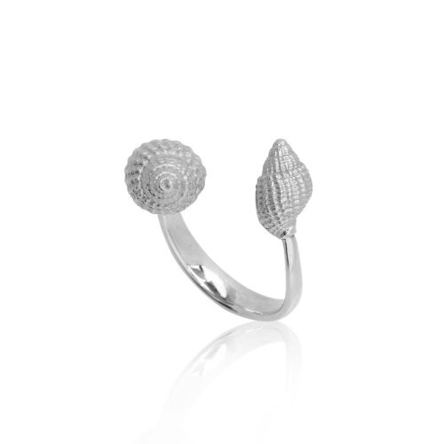 Coast Conch Coast Conch