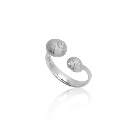 Coast Snail Coast Snail