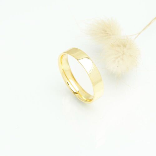 Charlie lab (dame) Charlie lab (dame)