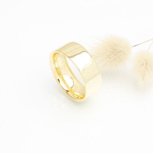 Charlie lab (dame) Charlie lab (dame)