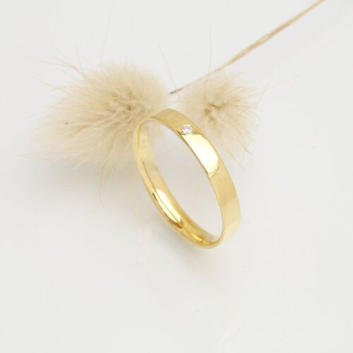 Charlie lab (dame) Charlie lab (dame)