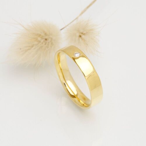 Charlie lab (dame) Charlie lab (dame)