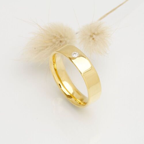 Charlie lab (dame) Charlie lab (dame)