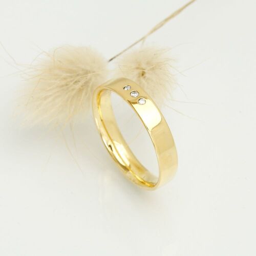 Charlie lab (dame) Charlie lab (dame)