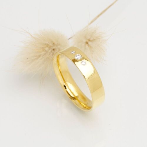 Charlie lab (dame) Charlie lab (dame)