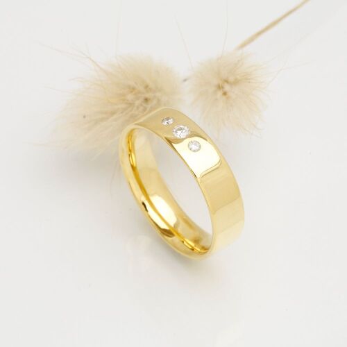 Charlie lab (dame) Charlie lab (dame)