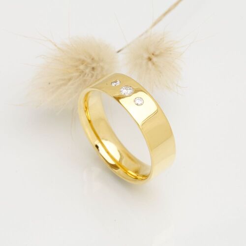 Charlie lab (dame) Charlie lab (dame)