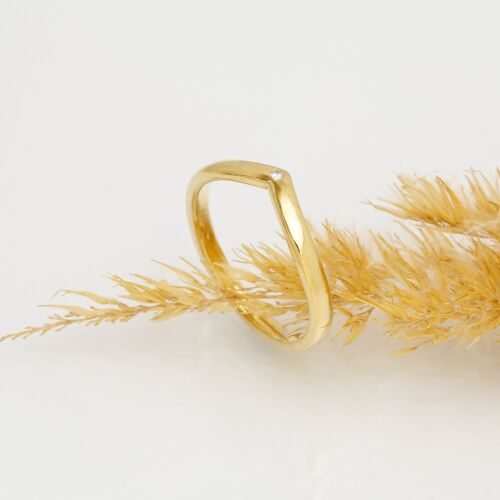 Delta-lab (dame) Delta-lab (dame)