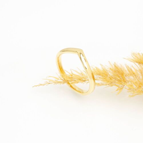 Delta-lab (dame) Delta-lab (dame)