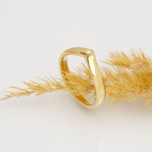 Delta-lab (dame) Delta-lab (dame)