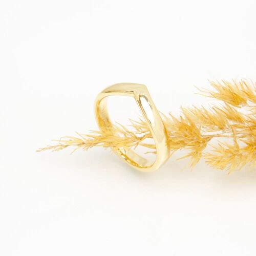 Delta-lab (dame) Delta-lab (dame)