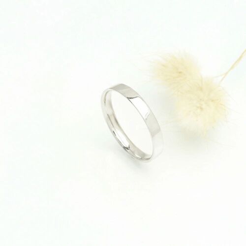 Charlie lab (dame) Charlie lab (dame)