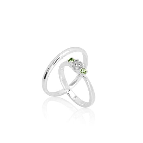 GRACE-S.-color-lab. GRACE-S.-color-lab.