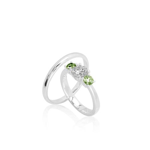 GRACE-S.-color-lab. GRACE-S.-color-lab.